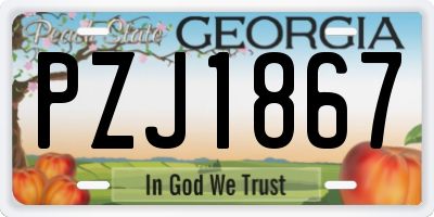GA license plate PZJ1867