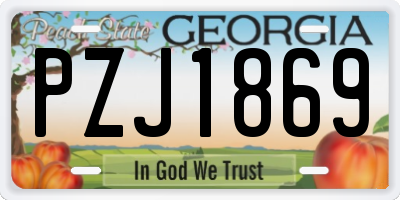 GA license plate PZJ1869
