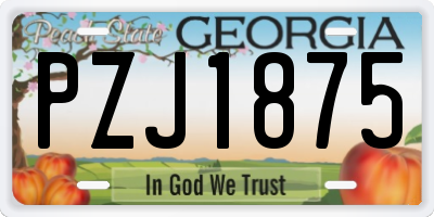 GA license plate PZJ1875