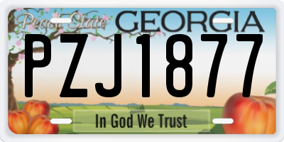 GA license plate PZJ1877