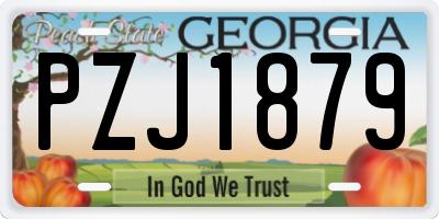 GA license plate PZJ1879