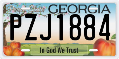 GA license plate PZJ1884