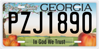 GA license plate PZJ1890