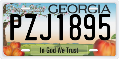 GA license plate PZJ1895
