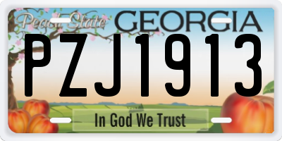 GA license plate PZJ1913