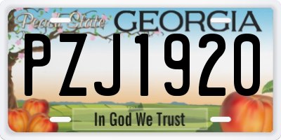 GA license plate PZJ1920