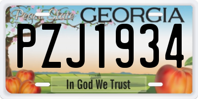 GA license plate PZJ1934
