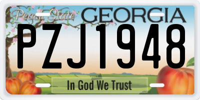 GA license plate PZJ1948