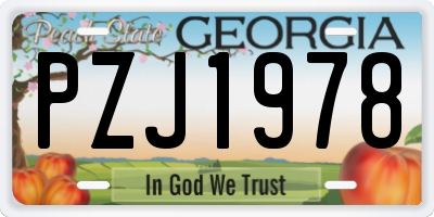 GA license plate PZJ1978