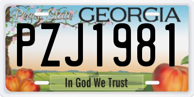 GA license plate PZJ1981