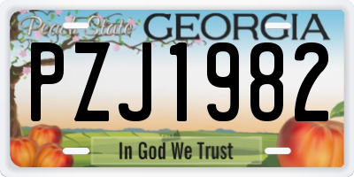 GA license plate PZJ1982
