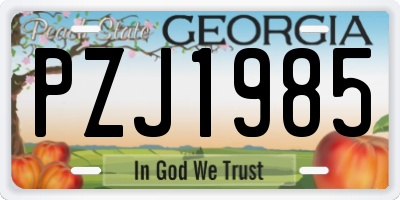 GA license plate PZJ1985