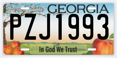 GA license plate PZJ1993