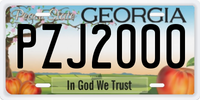 GA license plate PZJ2000