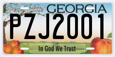 GA license plate PZJ2001