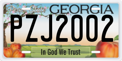 GA license plate PZJ2002