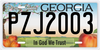 GA license plate PZJ2003