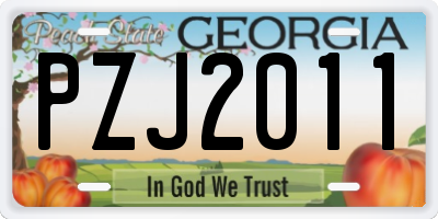 GA license plate PZJ2011
