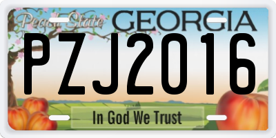 GA license plate PZJ2016
