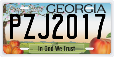 GA license plate PZJ2017