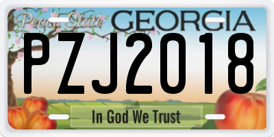 GA license plate PZJ2018