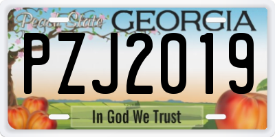 GA license plate PZJ2019