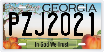 GA license plate PZJ2021