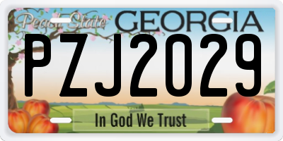 GA license plate PZJ2029