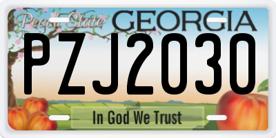 GA license plate PZJ2030