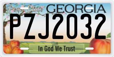 GA license plate PZJ2032