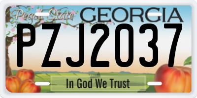 GA license plate PZJ2037
