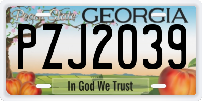 GA license plate PZJ2039