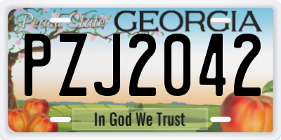 GA license plate PZJ2042