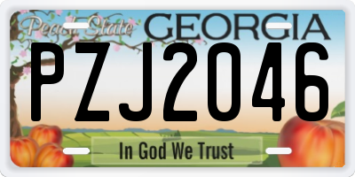 GA license plate PZJ2046