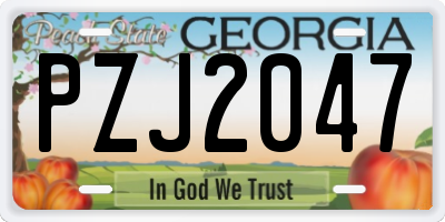 GA license plate PZJ2047