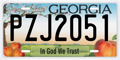 GA license plate PZJ2051