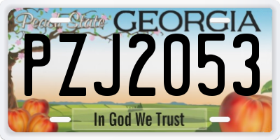 GA license plate PZJ2053