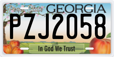 GA license plate PZJ2058