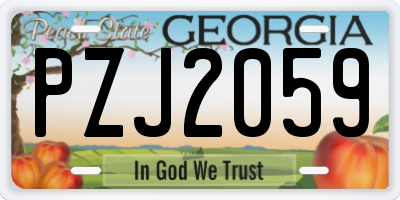 GA license plate PZJ2059