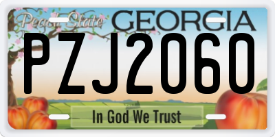 GA license plate PZJ2060