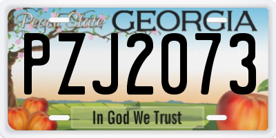 GA license plate PZJ2073