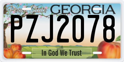 GA license plate PZJ2078