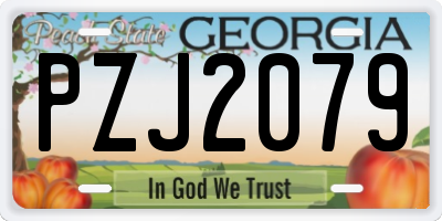 GA license plate PZJ2079