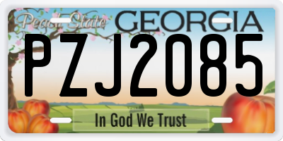 GA license plate PZJ2085