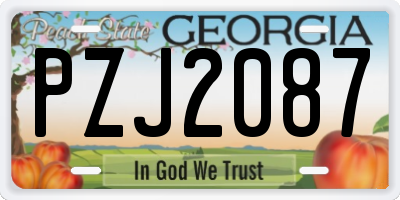 GA license plate PZJ2087