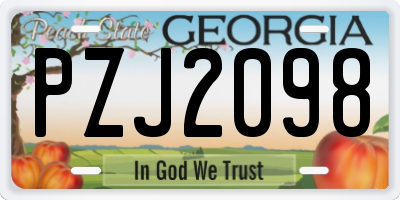 GA license plate PZJ2098