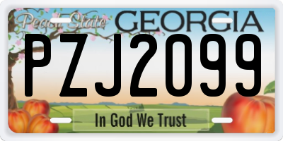 GA license plate PZJ2099