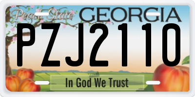 GA license plate PZJ2110