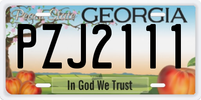 GA license plate PZJ2111