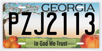 GA license plate PZJ2113